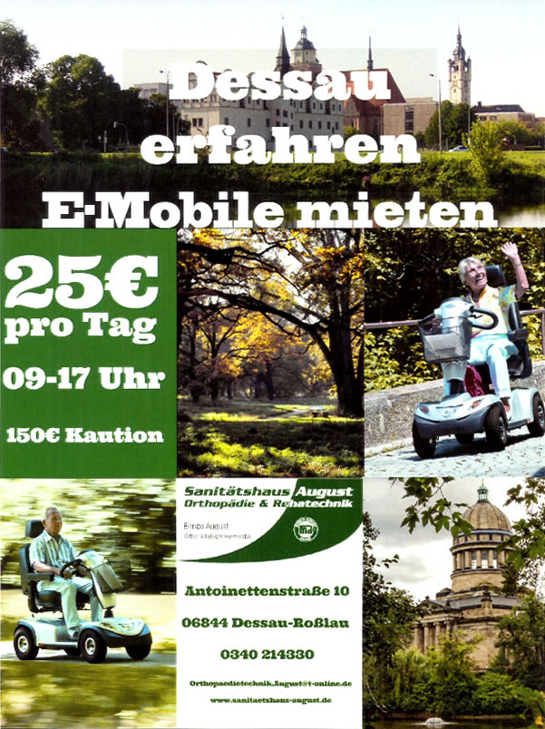 Flyer E-Mobile mieten